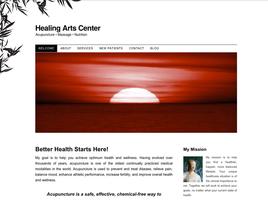 Zen Garden, elegant acupuncture website design (#00020)