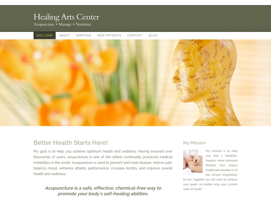Simplicity Realized acupuncture web template (#00030)