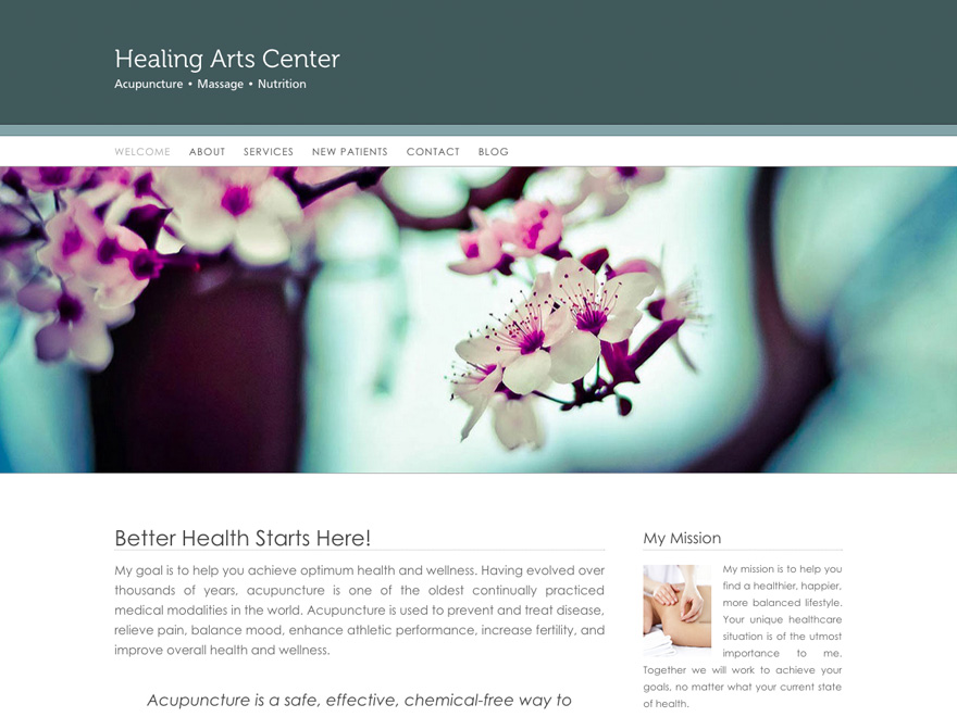 Simple banner acupuncturist website theme (#00052)