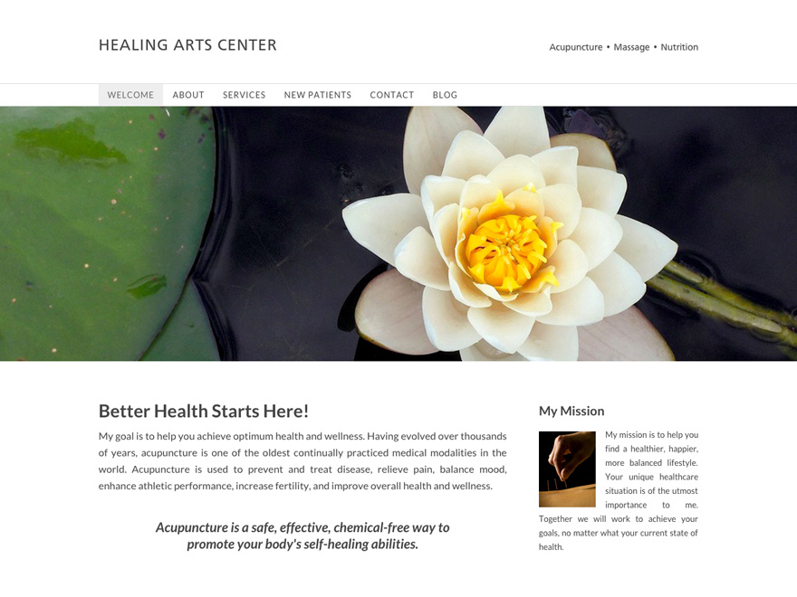 Gentleman's Standard responsive acupuncture website (#00034)