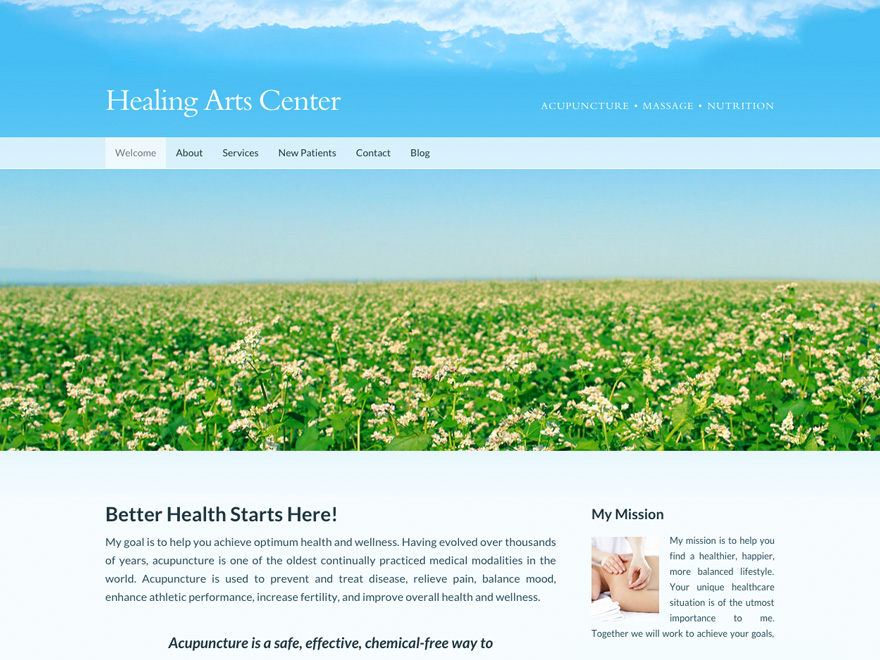 Outdoors acupuncture website design theme (#00036)