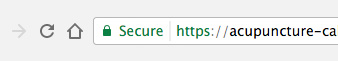 SSL encrypted acupuncture websites