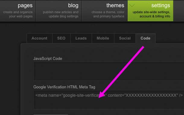 Webmaster tools paste meta tag